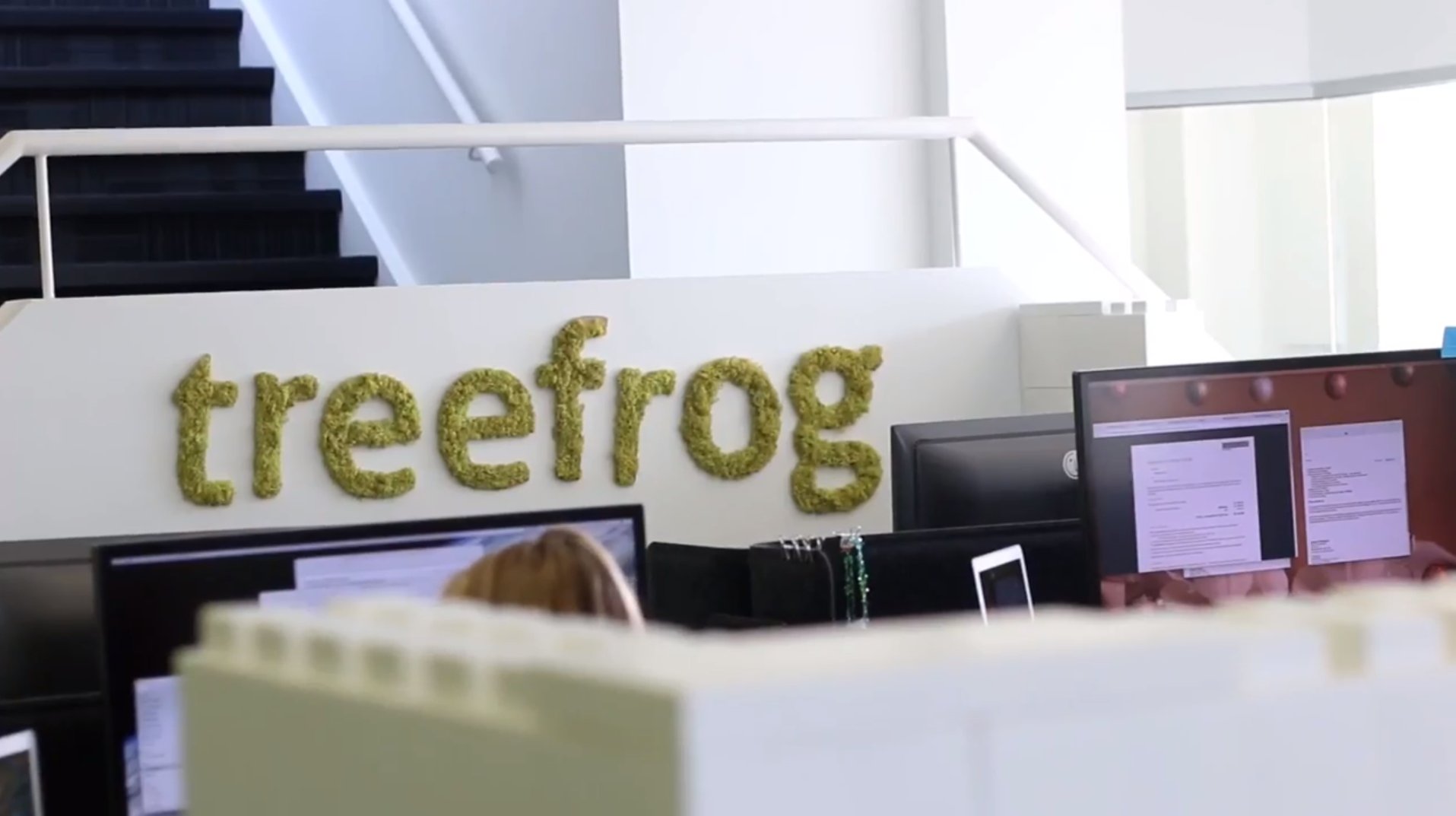 Treefrog Office