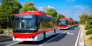 BYD Buses