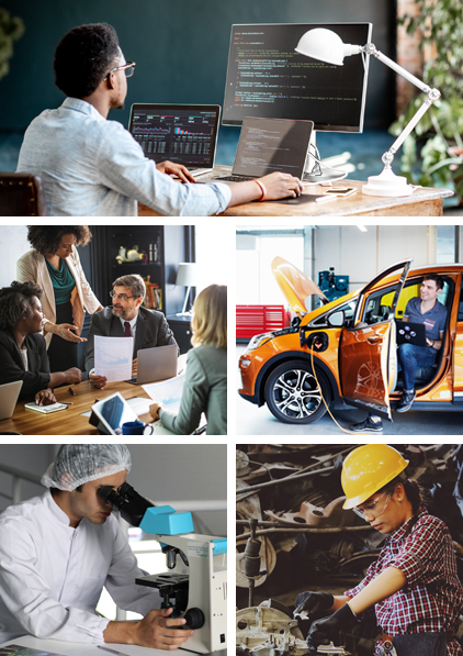 York Region Industry Sectors