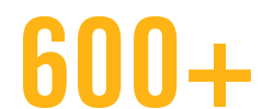 600+ icon