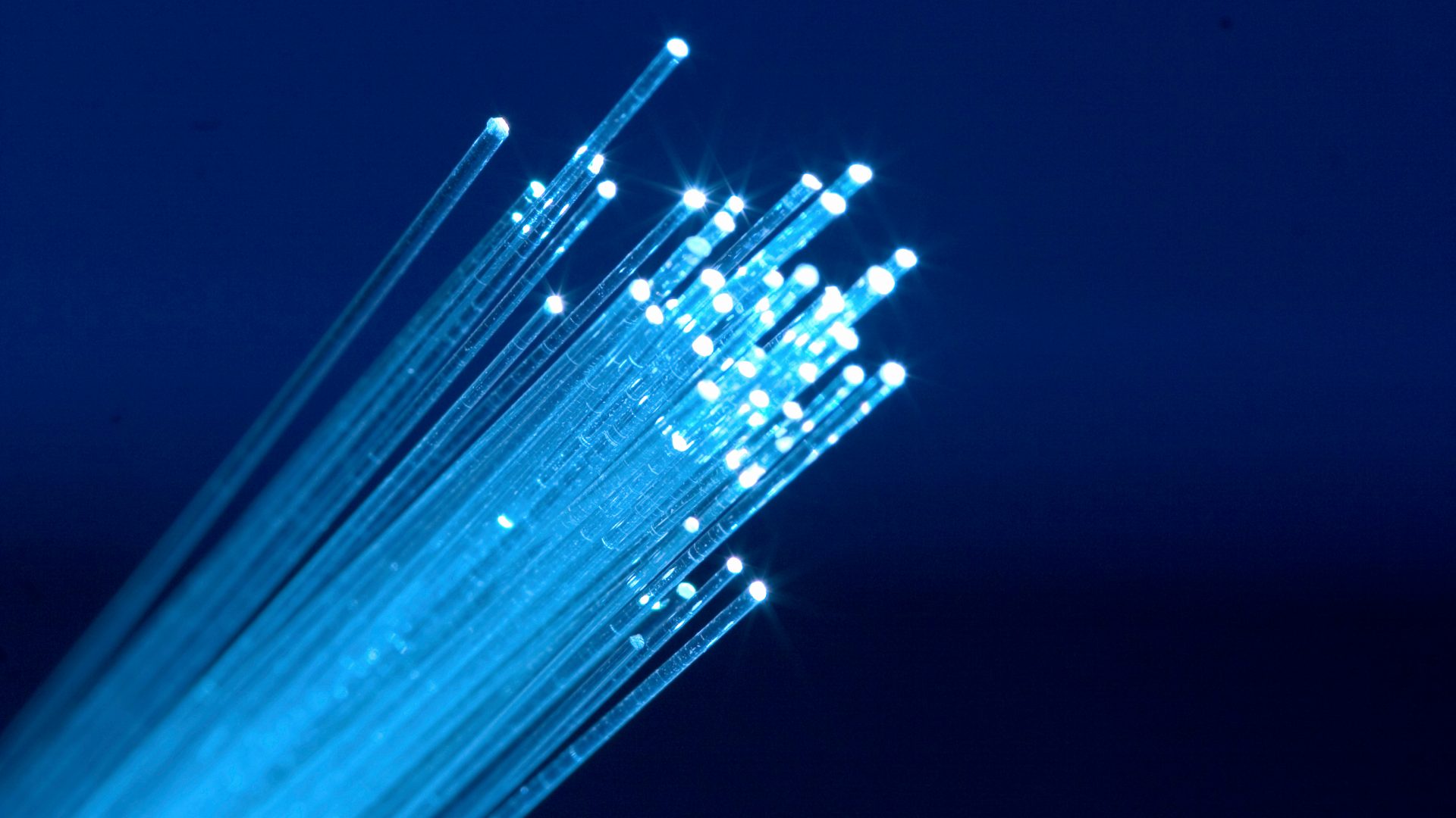 This is a decorative photo cables