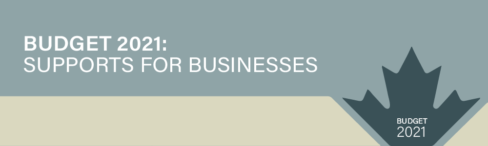 Federal Budget Banner