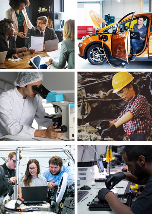 Workers in different sectors