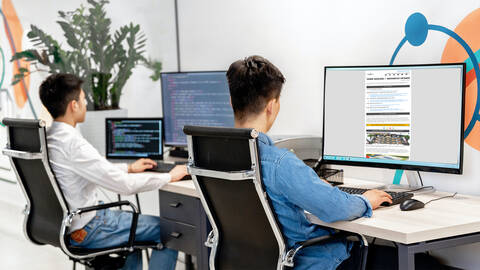 Two professionals working on computers