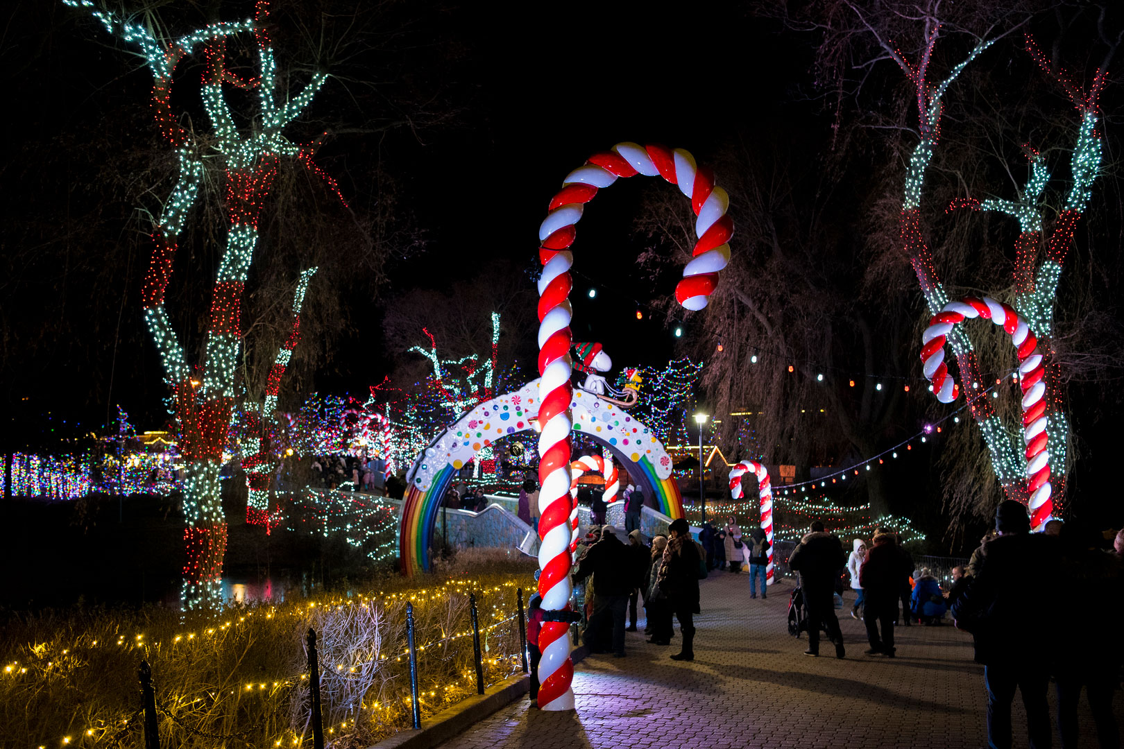 winter wonderland image ay Canada's Wonderland