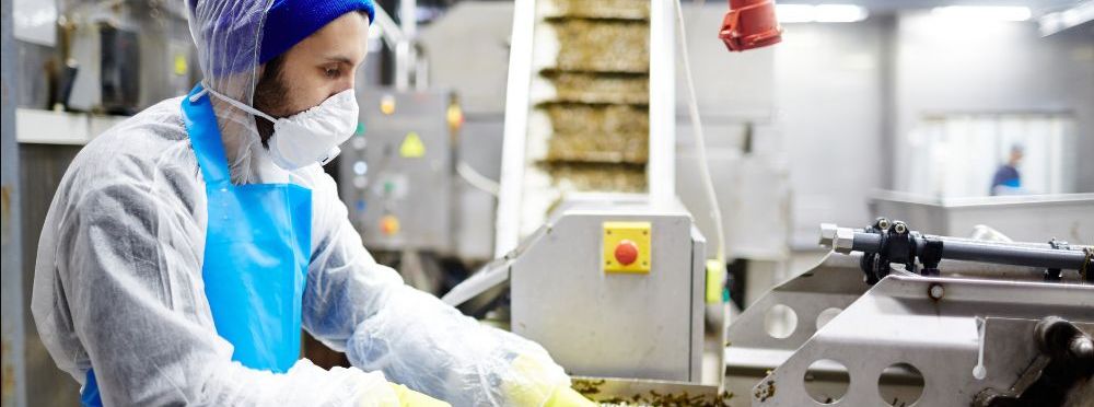 Worker in Food Processing Facility