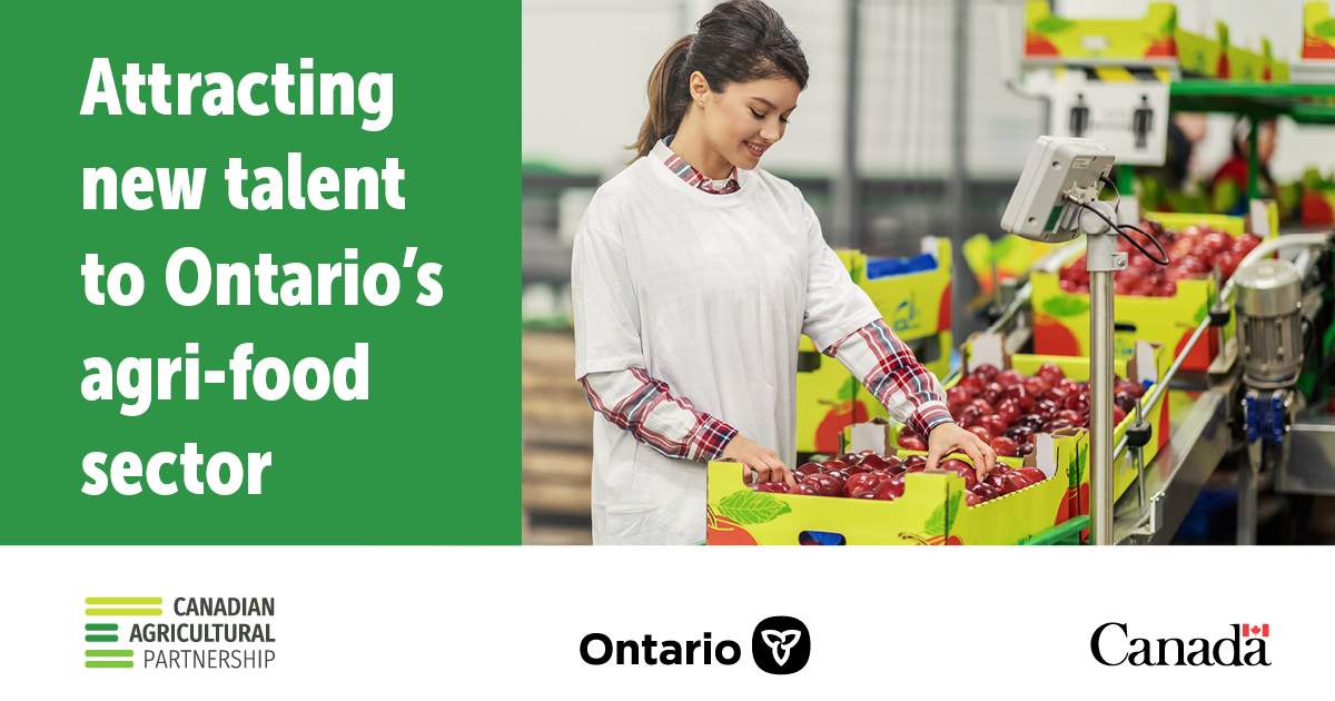 Attracting New Talent To Ontario's Agri-Food Sector
