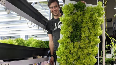 Boreal Vertical Farming Wall