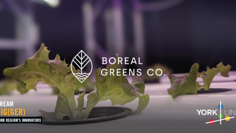 Boreal Greens Co Farming