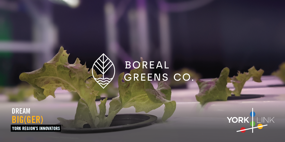 Boreal Greens Co Farming