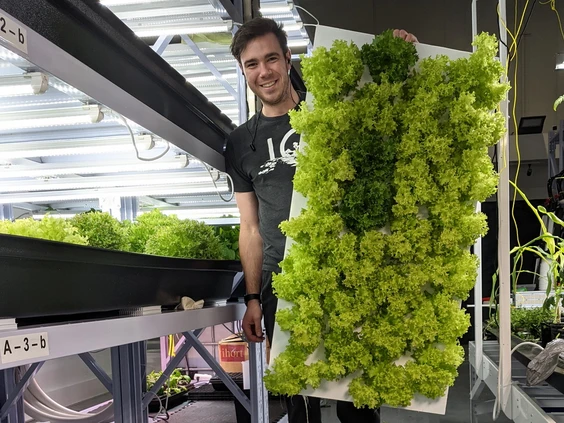 Boreal Farming holding a vertical farming wall