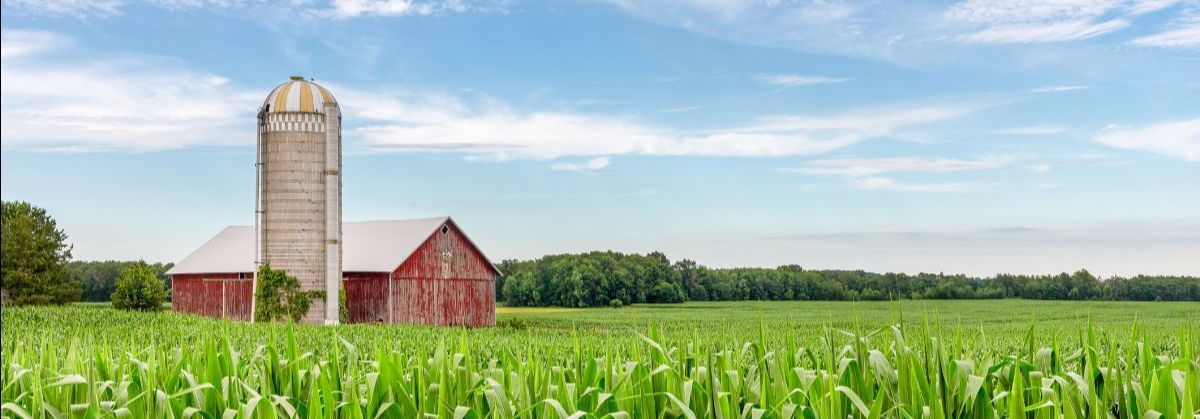 Local Farms