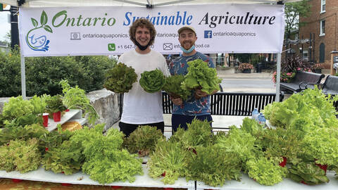 Ontario Sustainable Agriculture Guys at table with lettuce