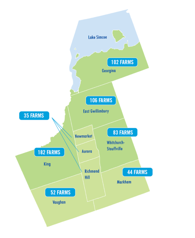 Map_Farm_Distrubution_YR_nobg2 A map of York Region with text overlaid on each municipality showing the number of farms in that area