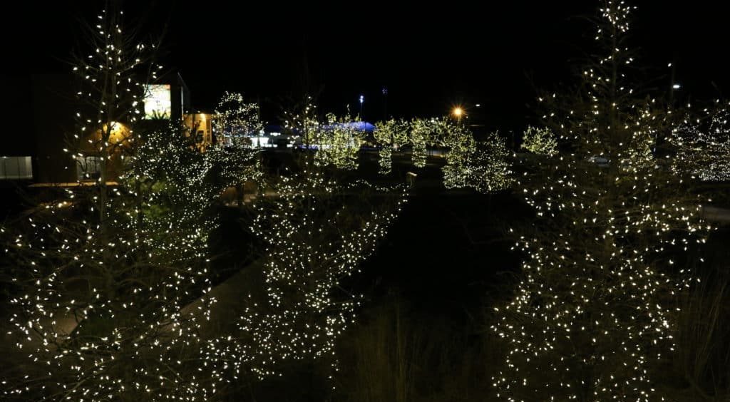 holiday lit tree lined Riverwalk Commons walking trail at night