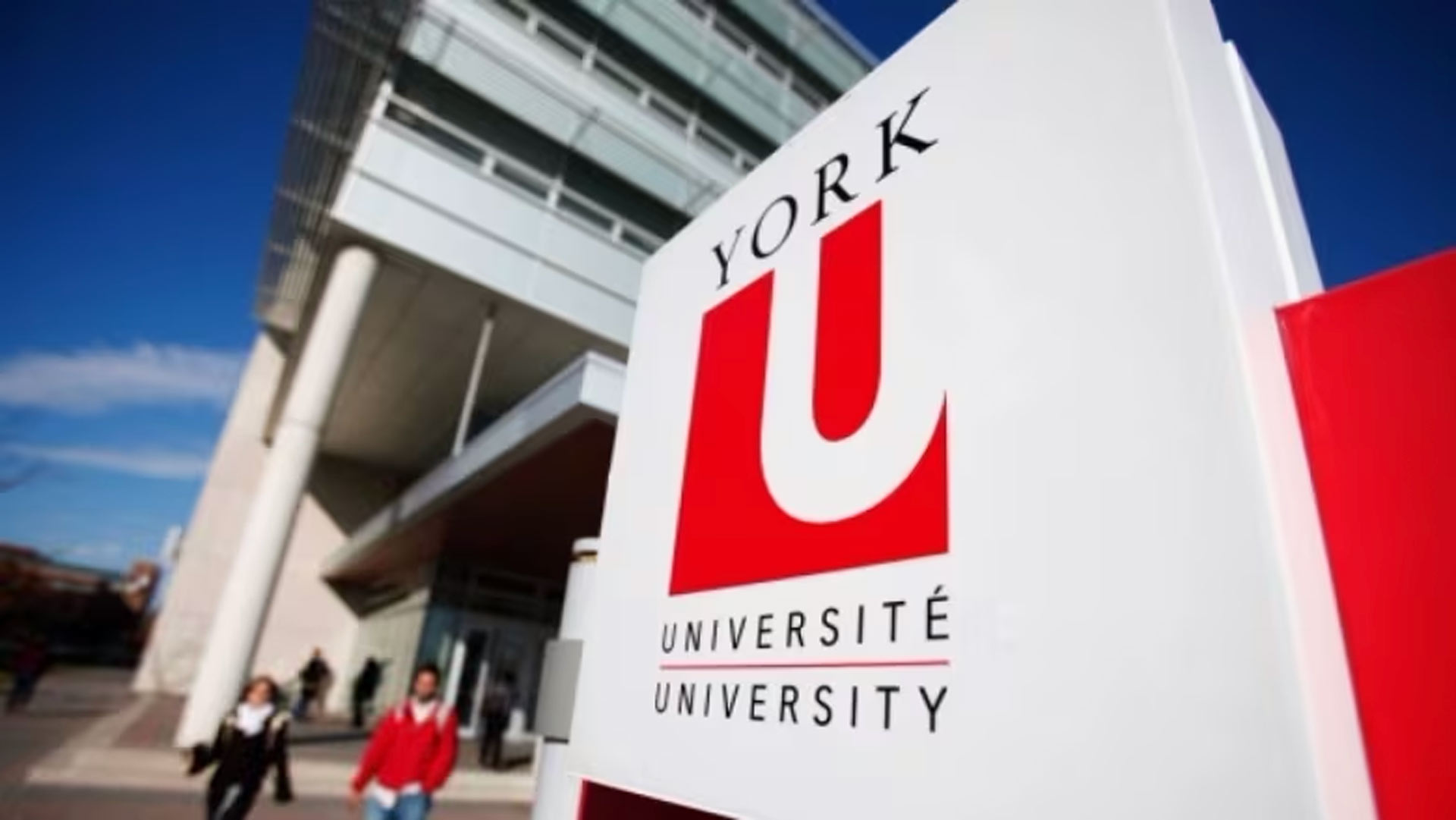 York University